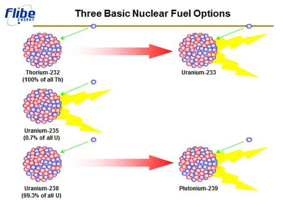 Thorium Reactors: Nuclear Redemption or Nuclear Hazard?