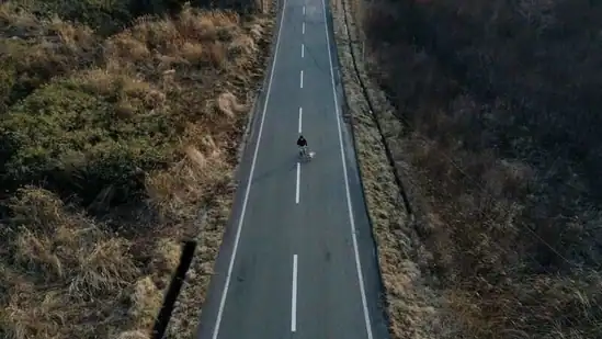 An aerial view shows Sakae Kato walking Pochi, his dog that he rescued four years ago, on an empty road between restricted zones in Namie, Fukushima Prefecture, Japan on February 20. A decade ago, Kato stayed behind to rescue cats abandoned by neighbours who fled the radiation clouds belching from the nearby Fukushima nuclear plant.(Kim Kyung-Hoon / REUTERS)