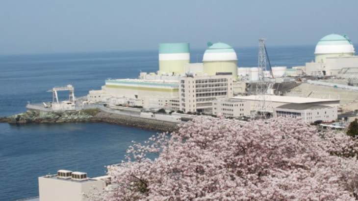 Mixed court rulings for Japanese reactors : Regulation & Safety