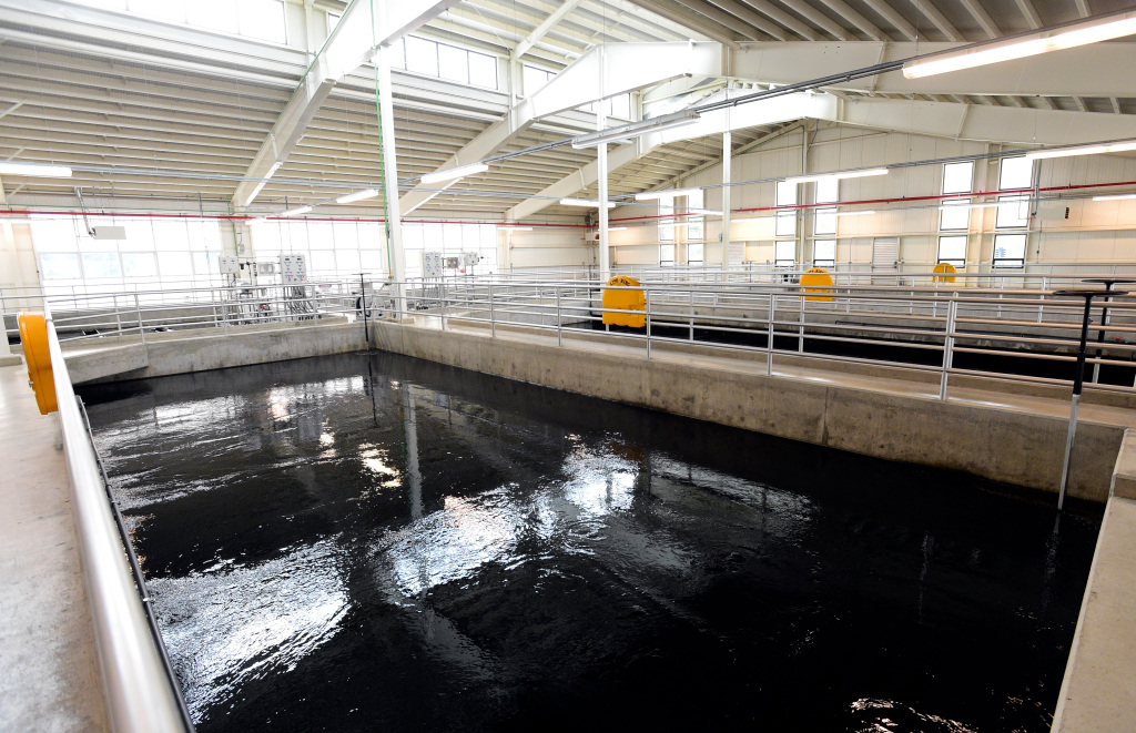 Longmont stops fluoridation in light of global fluoride shortage – Longmont Times-Call